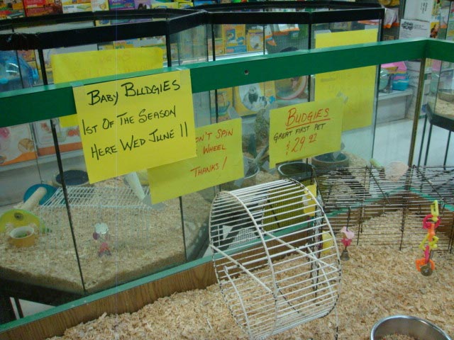 Petland deals bunny cages